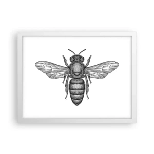 Poster in einem weißen Rahmen - Insektenporträt - 40x30 cm