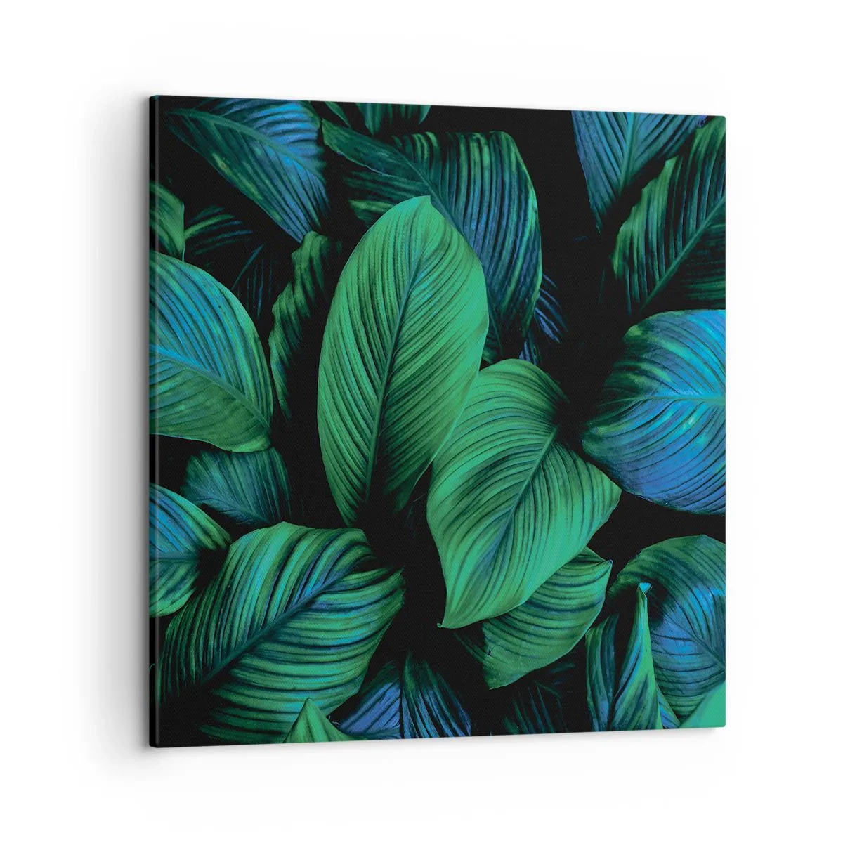 Bild auf Leinwand - Leinwandbild - In der grünen Menge - 50x50 cm