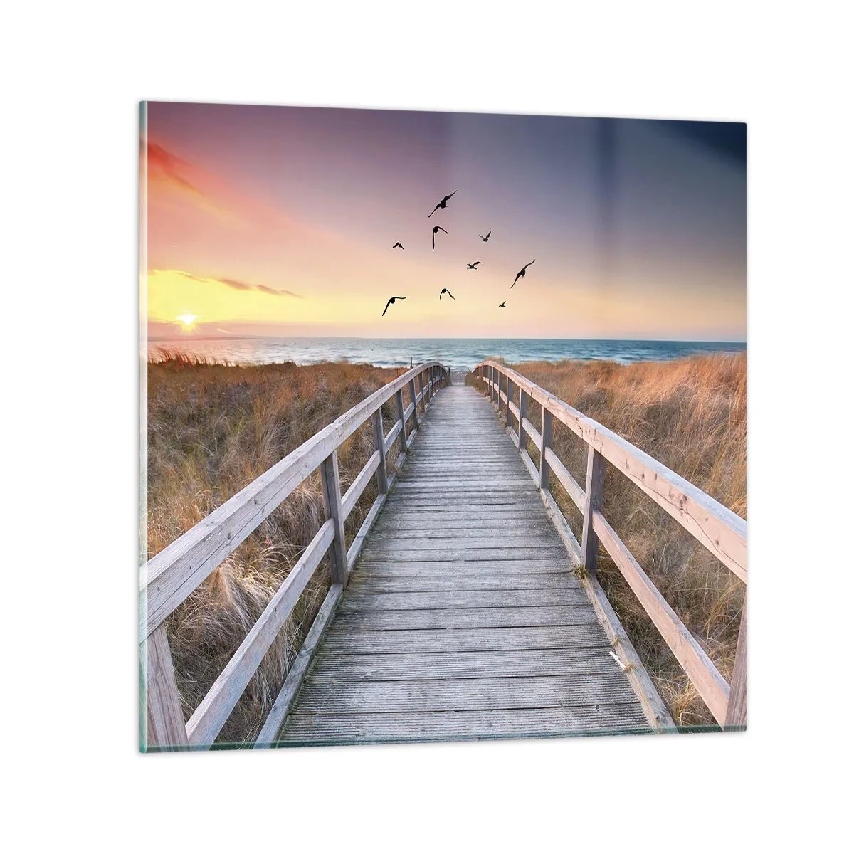 Glasbild - Bild auf glas - Der Raum für Auffliegen - 70x70 cm