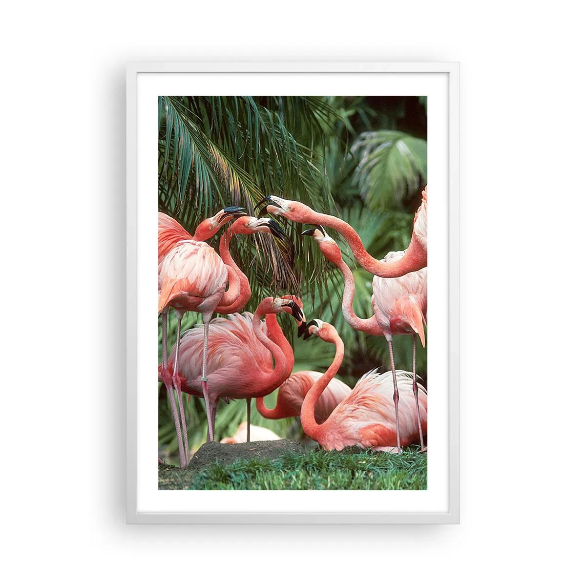 Poster in einem weißen Rahmen - Nachmittagsklatsch - 50x70 cm