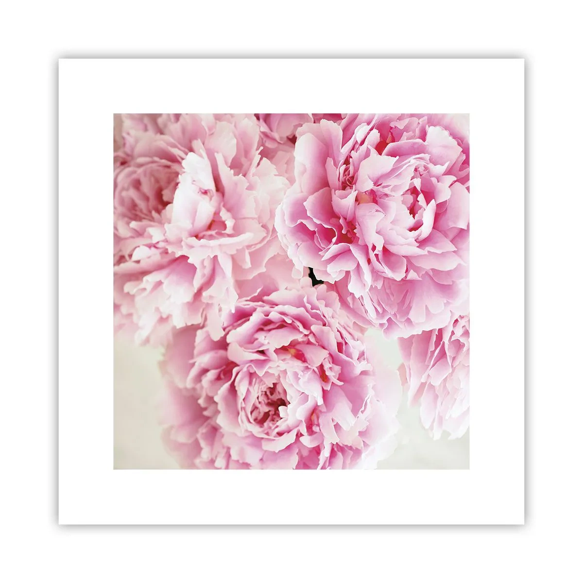 Poster - In rosa Glamour - 30x30 cm