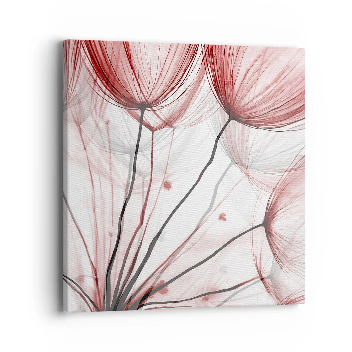 Bild auf Leinwand - Leinwandbild - Vor der Abfahrt - 40x40 cm