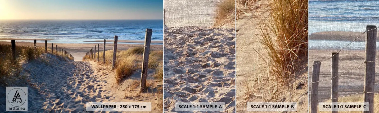 Fototapeten Muster Premium Canvas - Das Rauschen des Meeres, der Gesang der Vögel, ein wilder Strand im Gras ... - Landschaft, Strand, Dünen - 100x30 cm