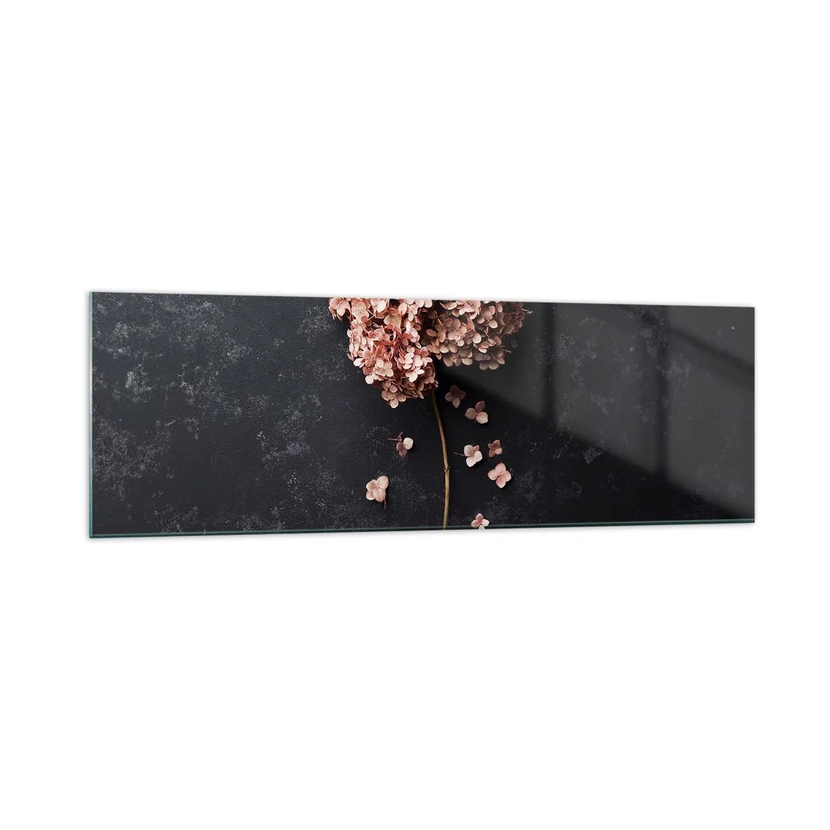 Glasbild - Bild auf glas - Eine zarte Hortensienblüte auf dunklem Hintergrund - 160x50cm - Wirklich romantisches Zeichen - Moderne Wanddekoration für Wohnzimmer und Schlafzimmer ARTTOR