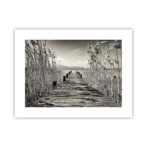 Poster - In der Stille des Grases - 40x30 cm