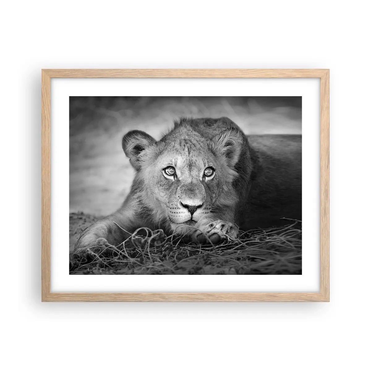 Poster in einem Rahmen aus heller Eiche - Königlicher Welpe - 50x40 cm