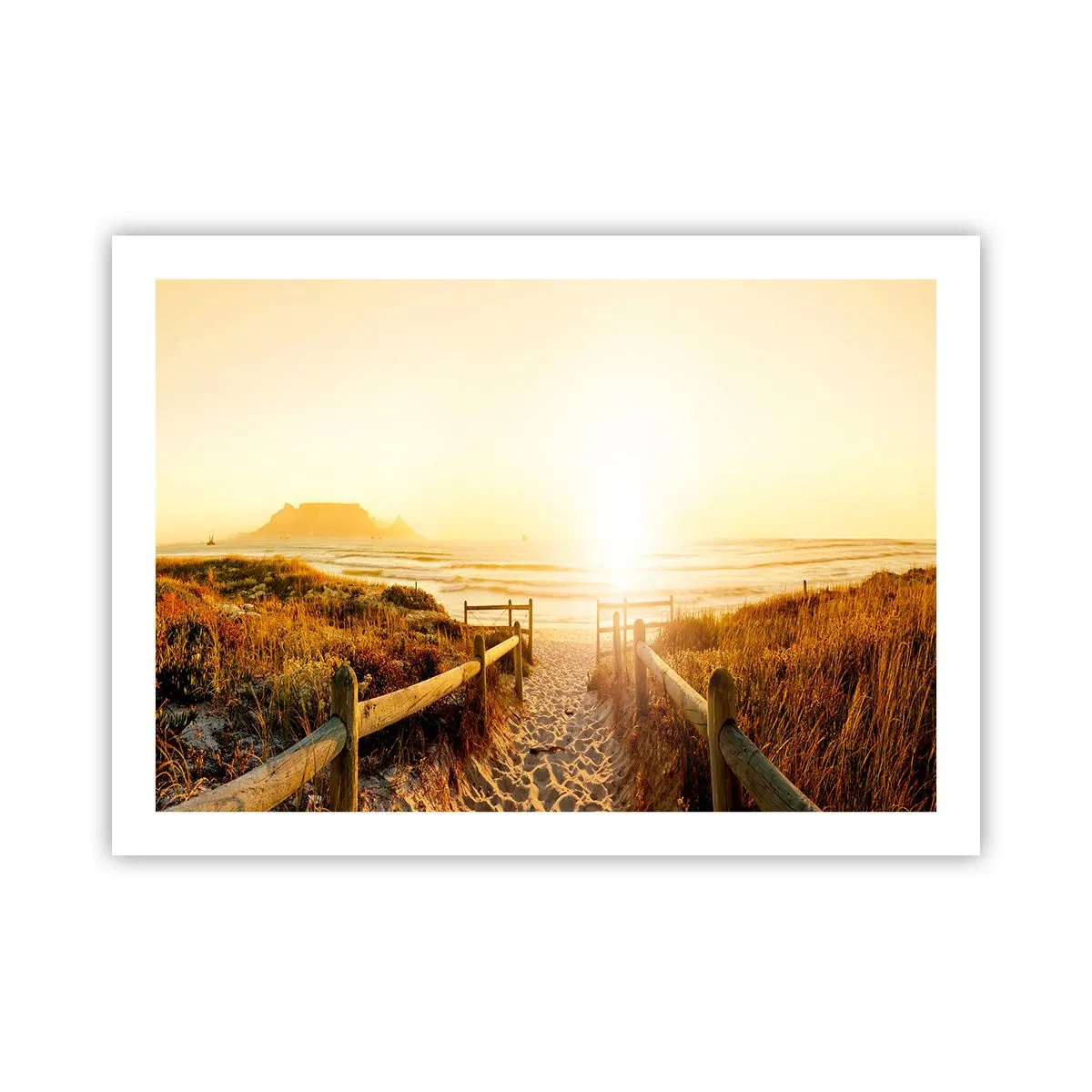 Poster - Über die Düne, der Sonne entgegen - 70x50 cm