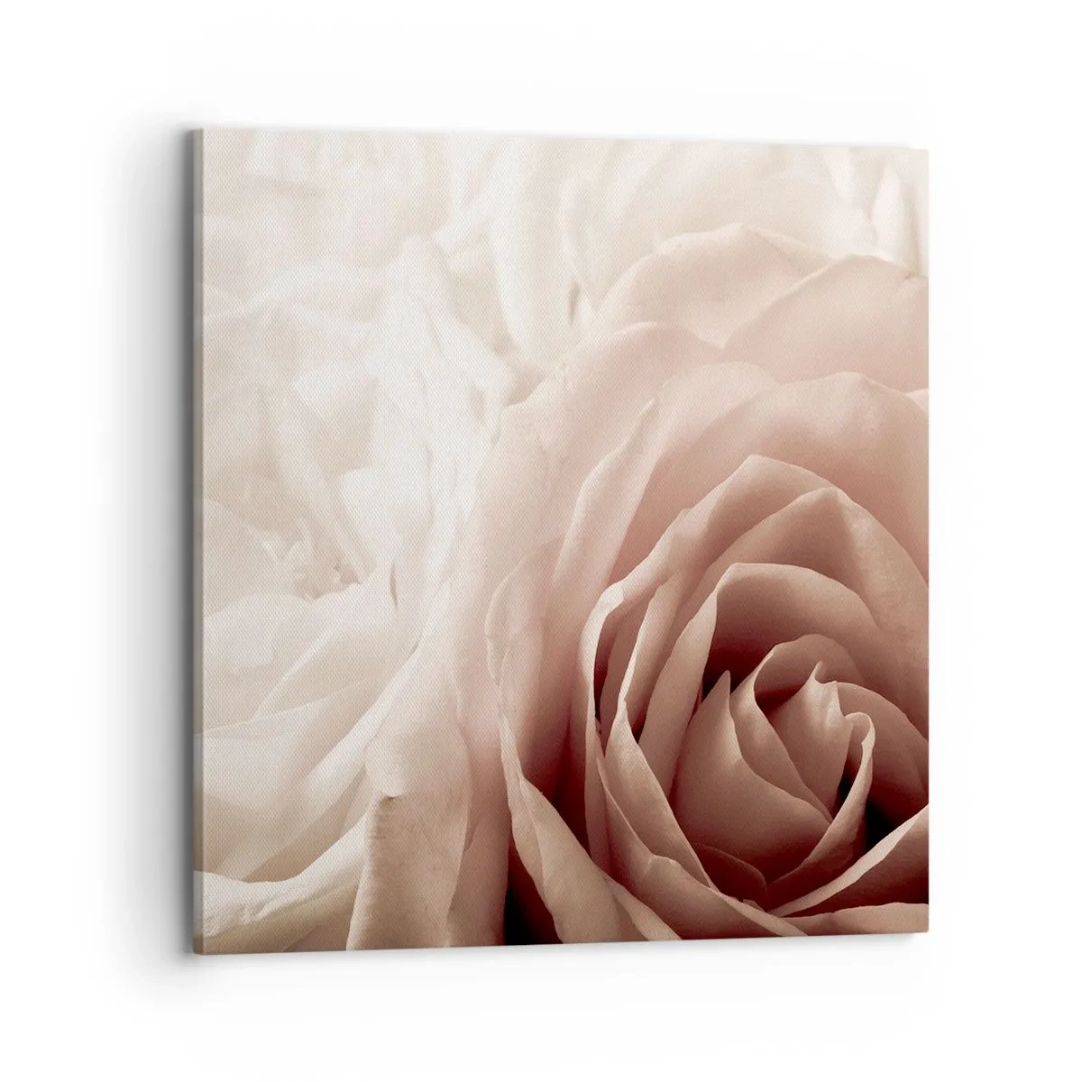 Bild auf Leinwand - Leinwandbild - Im Herzen der Rose - 70x70 cm