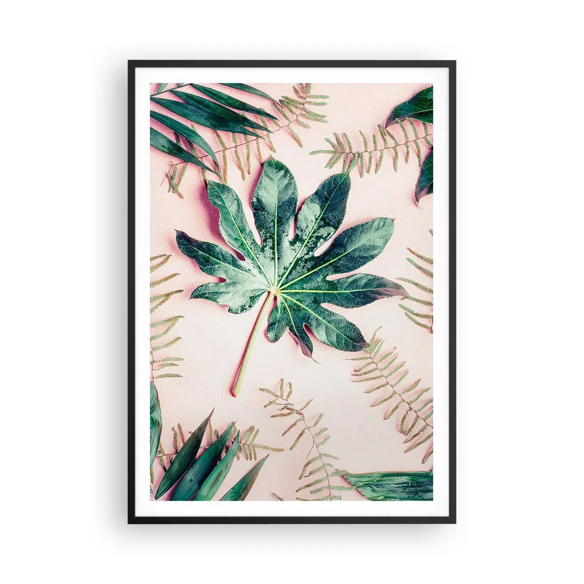 Poster in einem schwarzem Rahmen - Eine Studie von Grün auf einem rosa Hintergrund - 70x100 cm