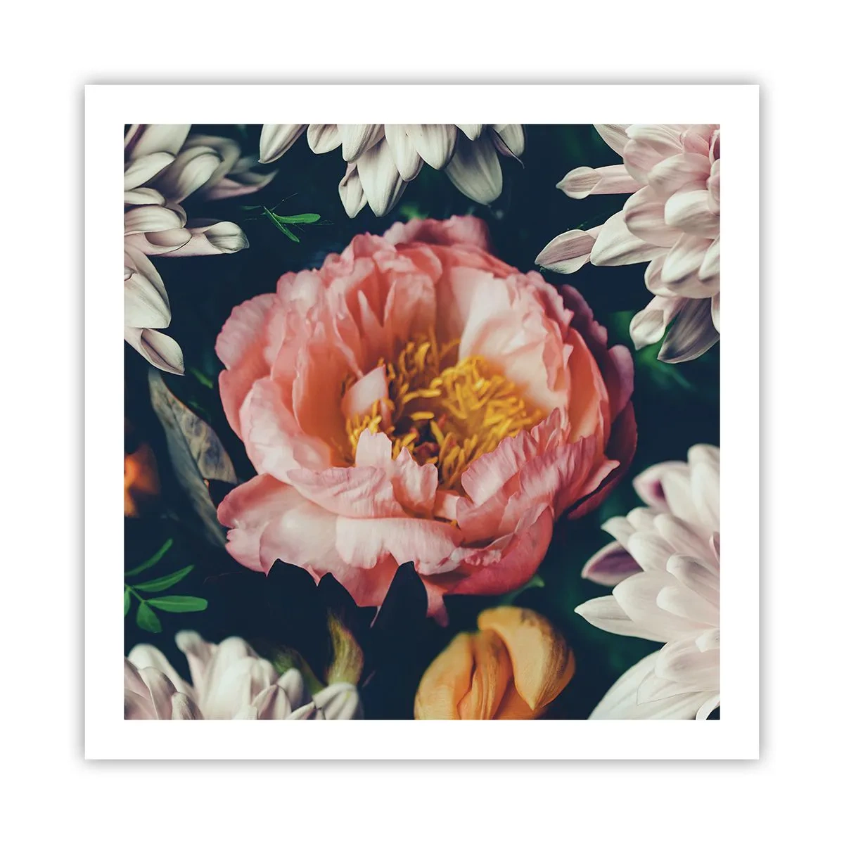 Poster - Mit barocker Pracht - 60x60 cm