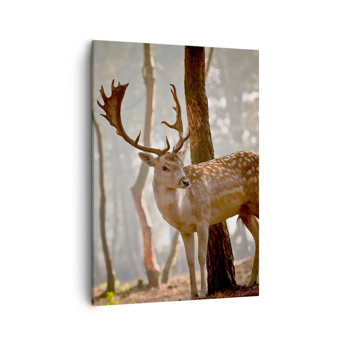 Bild auf Leinwand - Leinwandbild - Hirsche im Wald im Morgennebel - 50x70cm - Das Licht der Jugend - Moderne Wanddekoration für Wohnzimmer und Schlafzimmer ARTTOR