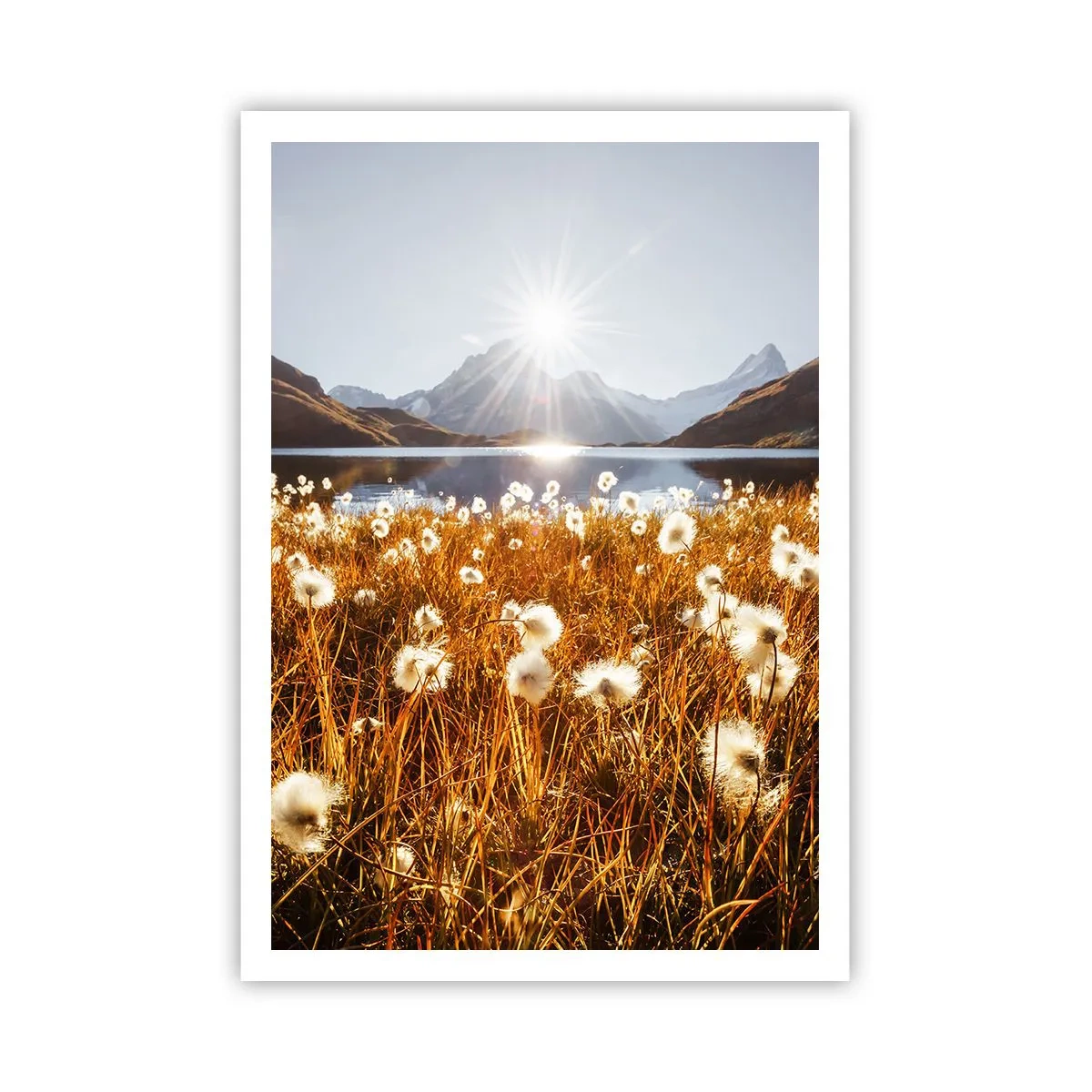 Poster - Steinhärte, Grasweichheit - 70x100 cm