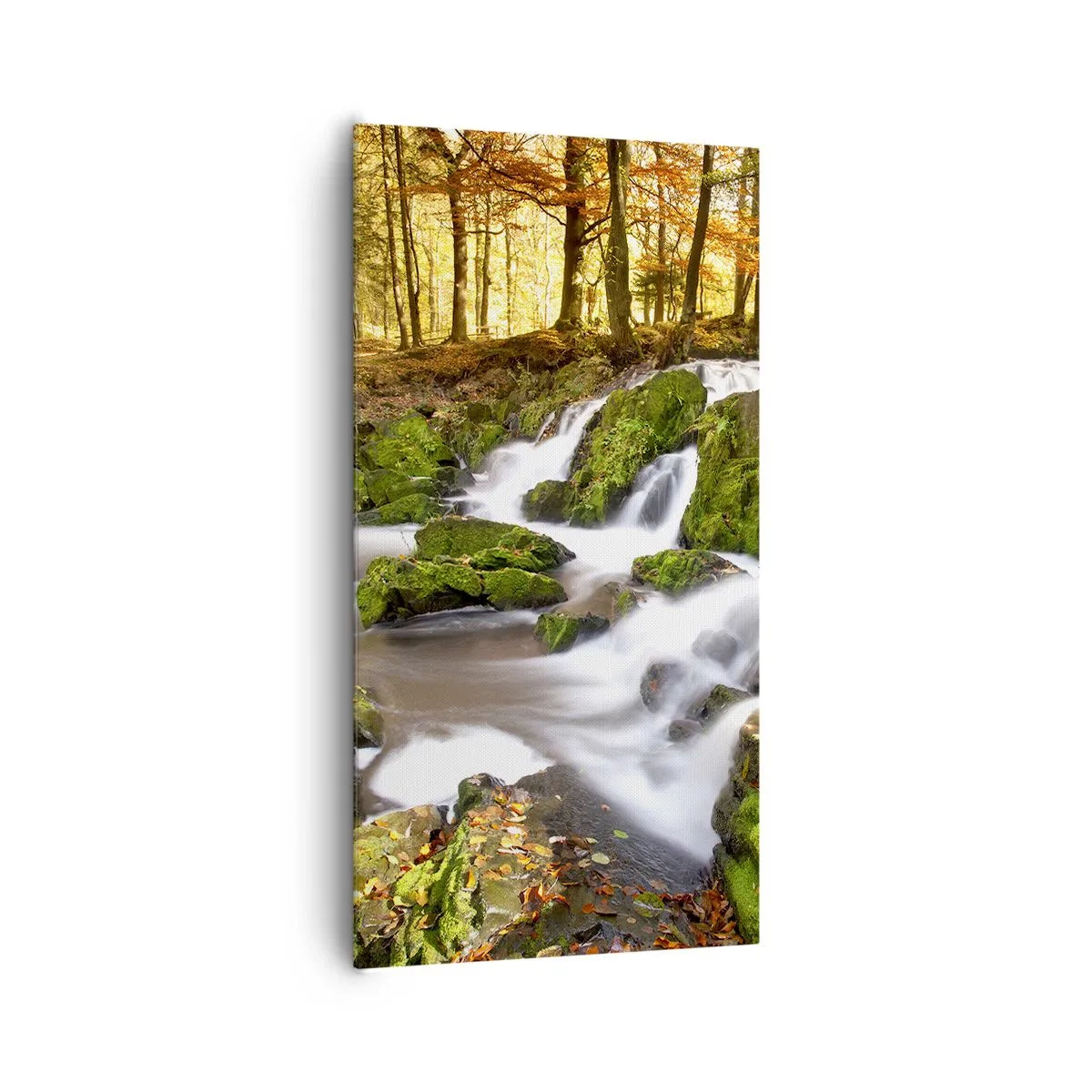 Bild auf Leinwand - Leinwandbild - Rasch durch den herbstlichen Wald - 65x120 cm