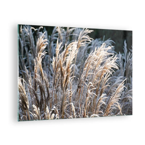 Glasbild - Bild auf glas - Gefrorene Gräser in der Wintersonne - 70x50cm - Gekleidet mit Frost - Moderne Wanddekoration für Wohnzimmer und Schlafzimmer ARTTOR