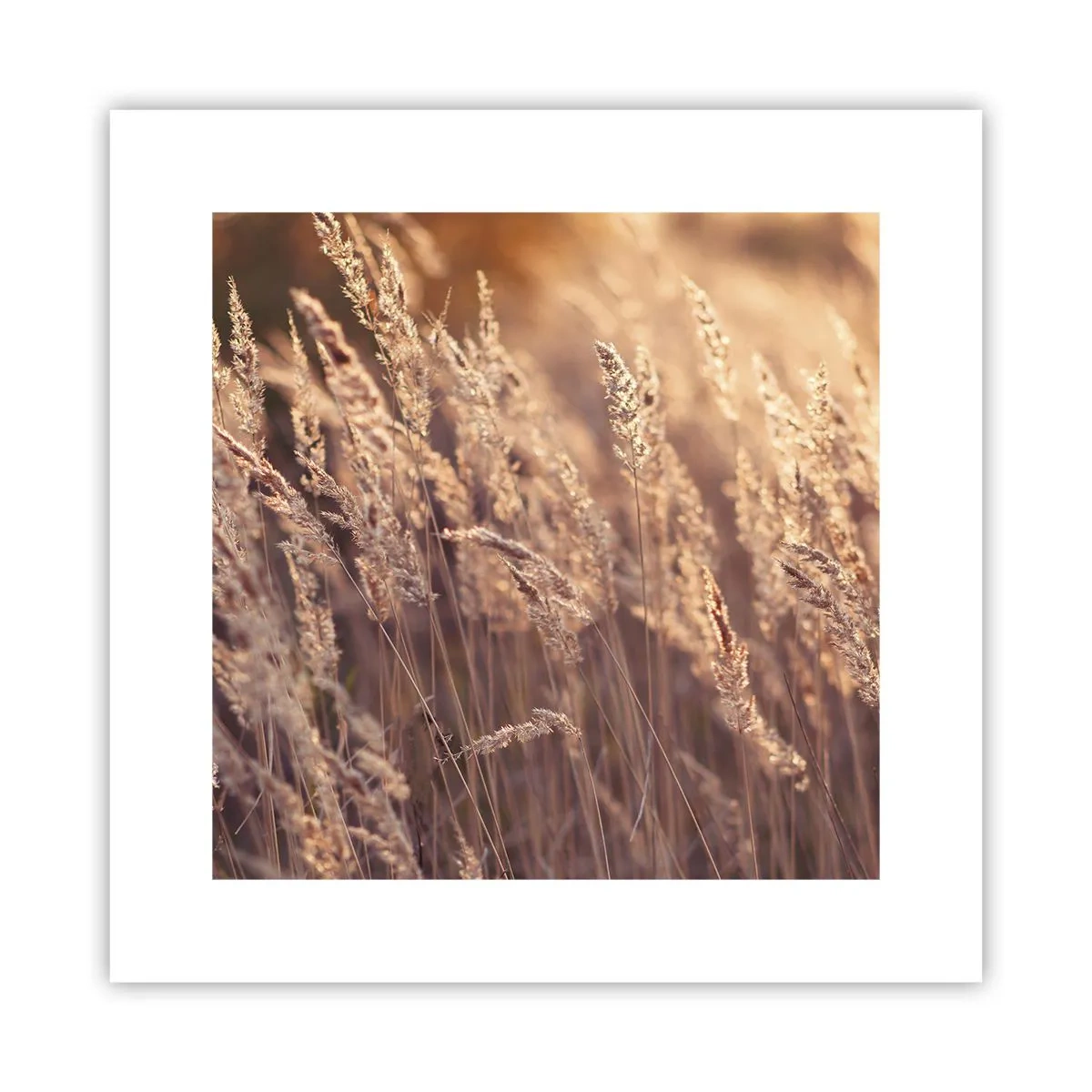 Poster - Bereit, den Herbst willkommen zu heißen - 30x30 cm