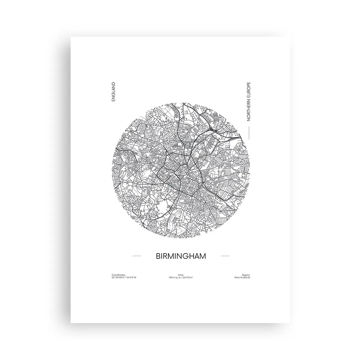Poster - Anatomie von Birmingham - 30x40 cm