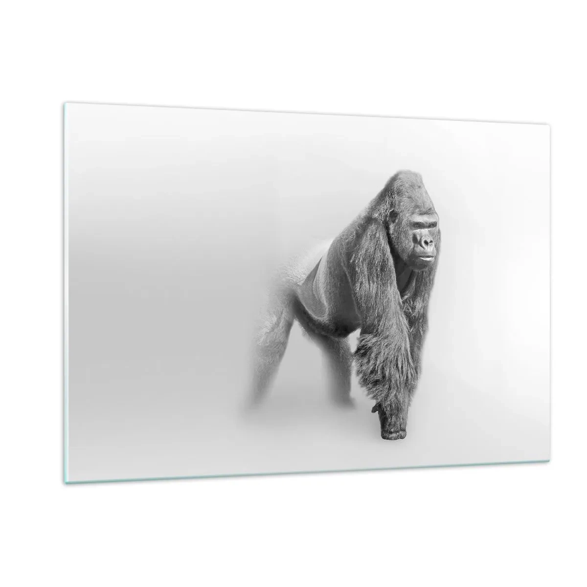 Glasbild - Bild auf glas - Schwarz-Weiß-Porträt eines majestätischen Gorillas vor weißem Hintergrund - 120x80cm - Zuversichtlich in seiner Stärke - Moderne Wanddekoration für Wohnzimmer und Schlafzimmer ARTTOR