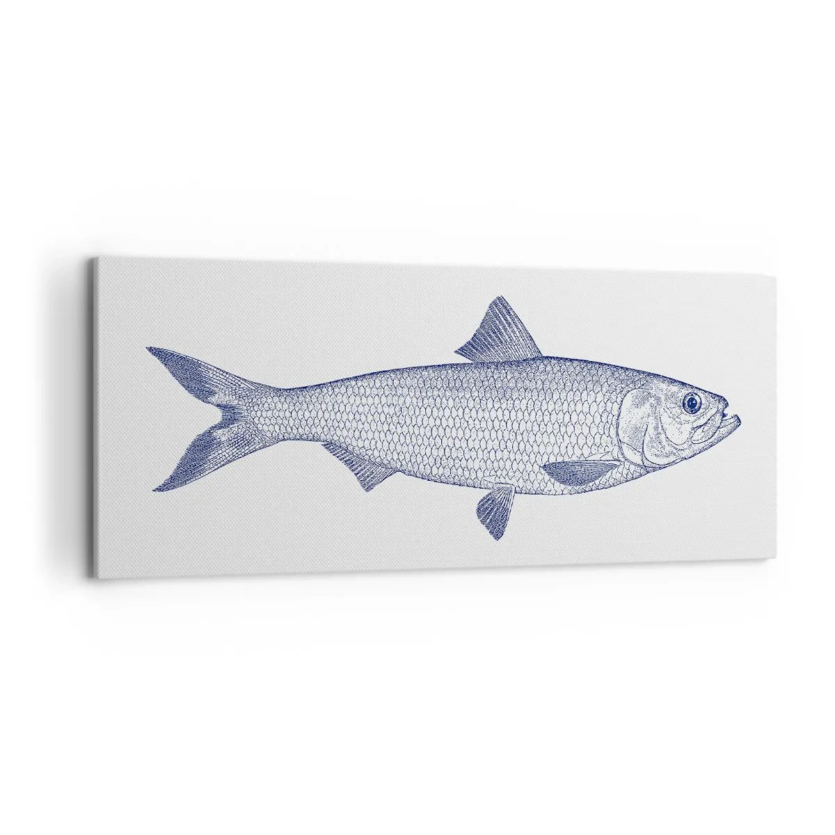 Bild auf Leinwand - Leinwandbild - Illustration eines Fisches in Blautönen auf hellem Hintergrund - 120x50cm - Grüße aus den nördlichen Meeren - Moderne Wanddekoration für Wohnzimmer und Schlafzimmer ARTTOR