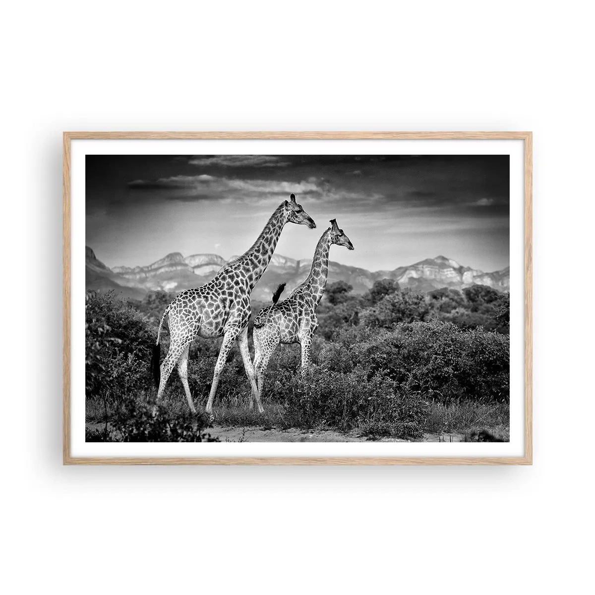 Poster in einem Rahmen aus heller Eiche - Hohe Sphären in Afrika - 100x70 cm