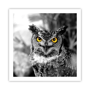 Poster - Nichts wird sich verstecken - 60x60 cm