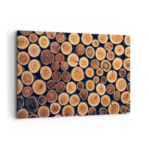 Bild auf Leinwand - Leinwandbild - Muster aus Querschnitten von Holzstämmen - 120x80cm - Wie alt sehe ich aus? - Moderne Wanddekoration für Wohnzimmer und Schlafzimmer ARTTOR