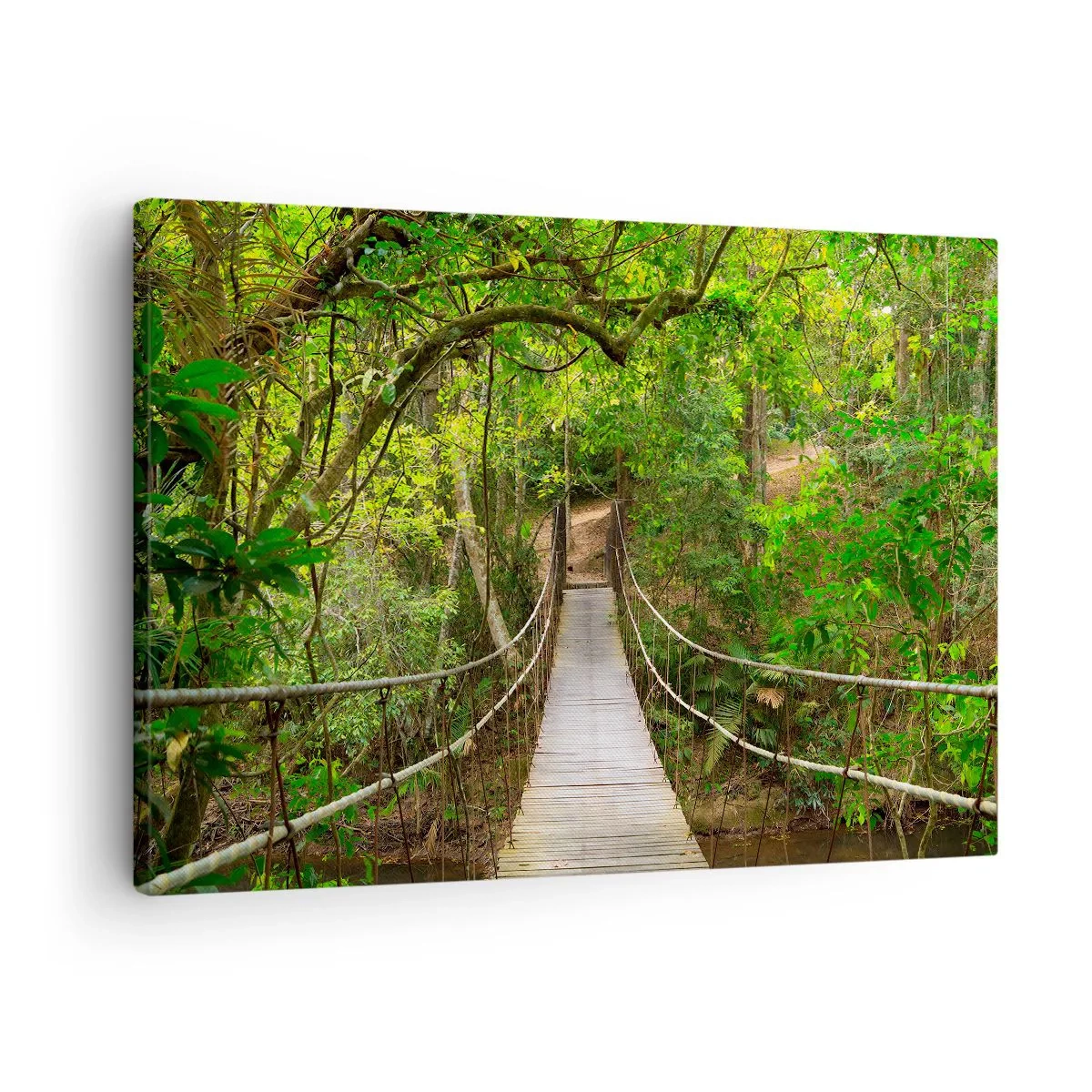 Bild auf Leinwand - Leinwandbild - Eine Hängebrücke umgeben von einem grünen Regenwald - 70x50cm - Denn im Garten gibt es eine Schlingpflanze - Moderne Wanddekoration für Wohnzimmer und Schlafzimmer ARTTOR