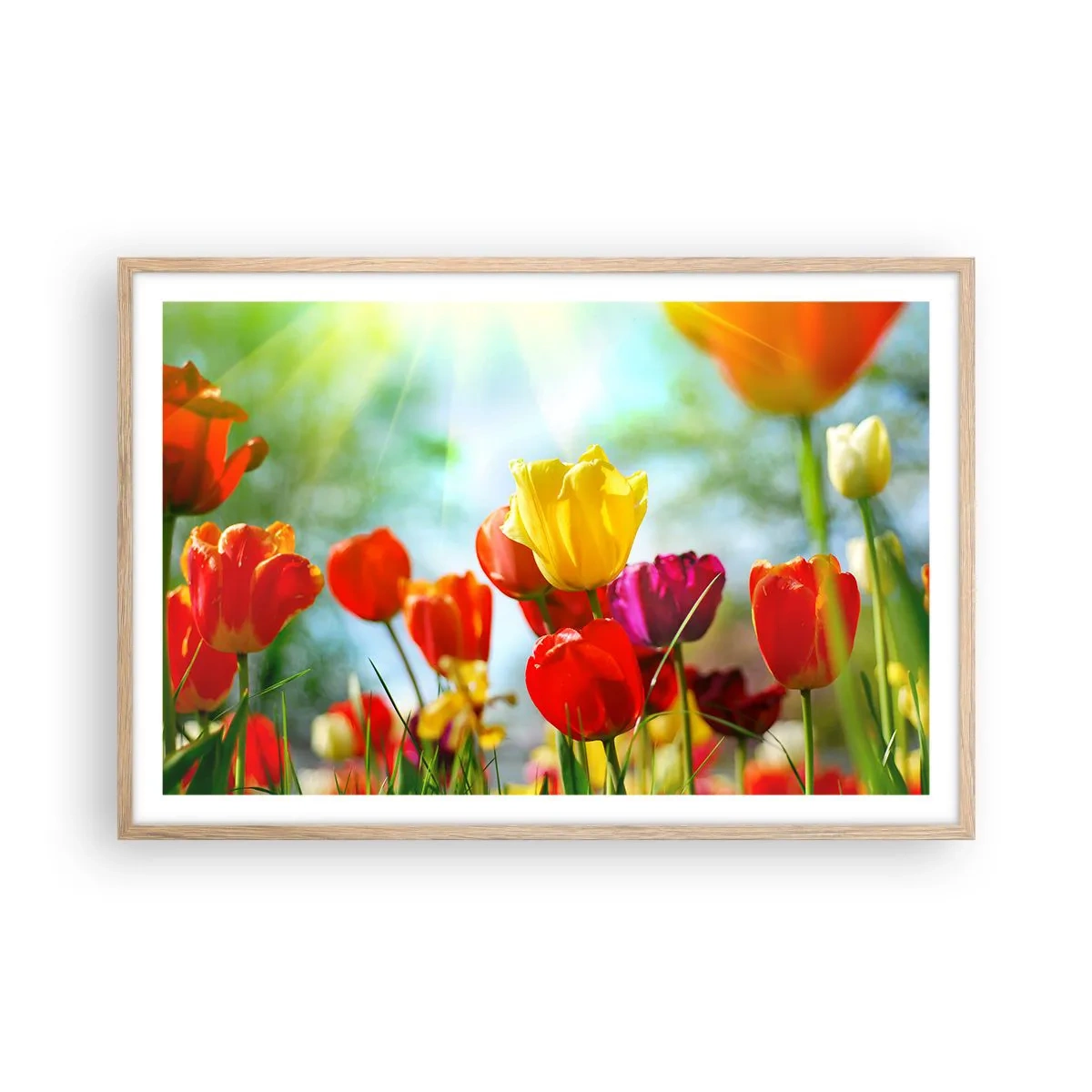 Poster in einem Rahmen aus heller Eiche - Alle Farben der Sonne - 91x61 cm
