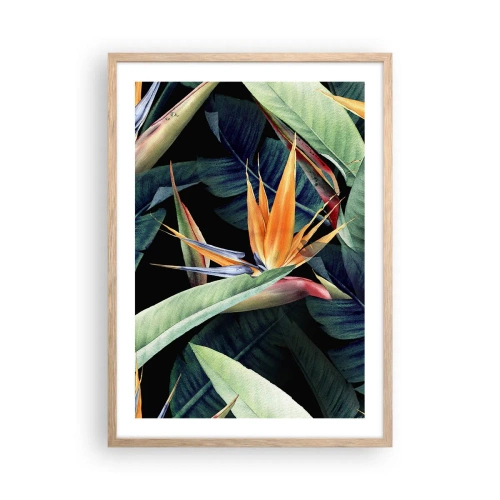 Poster in einem Rahmen aus heller Eiche - Flammende Blumen der Tropen - 50x70 cm