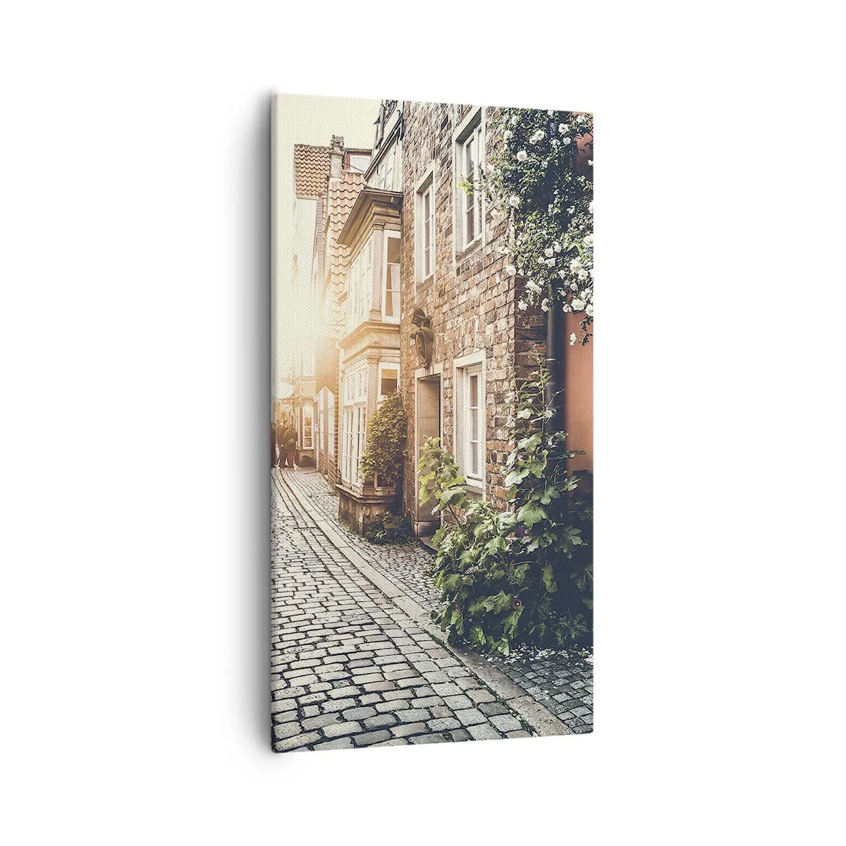 Bild auf Leinwand - Leinwandbild - Rosenallee im rosa Schein - 55x100 cm