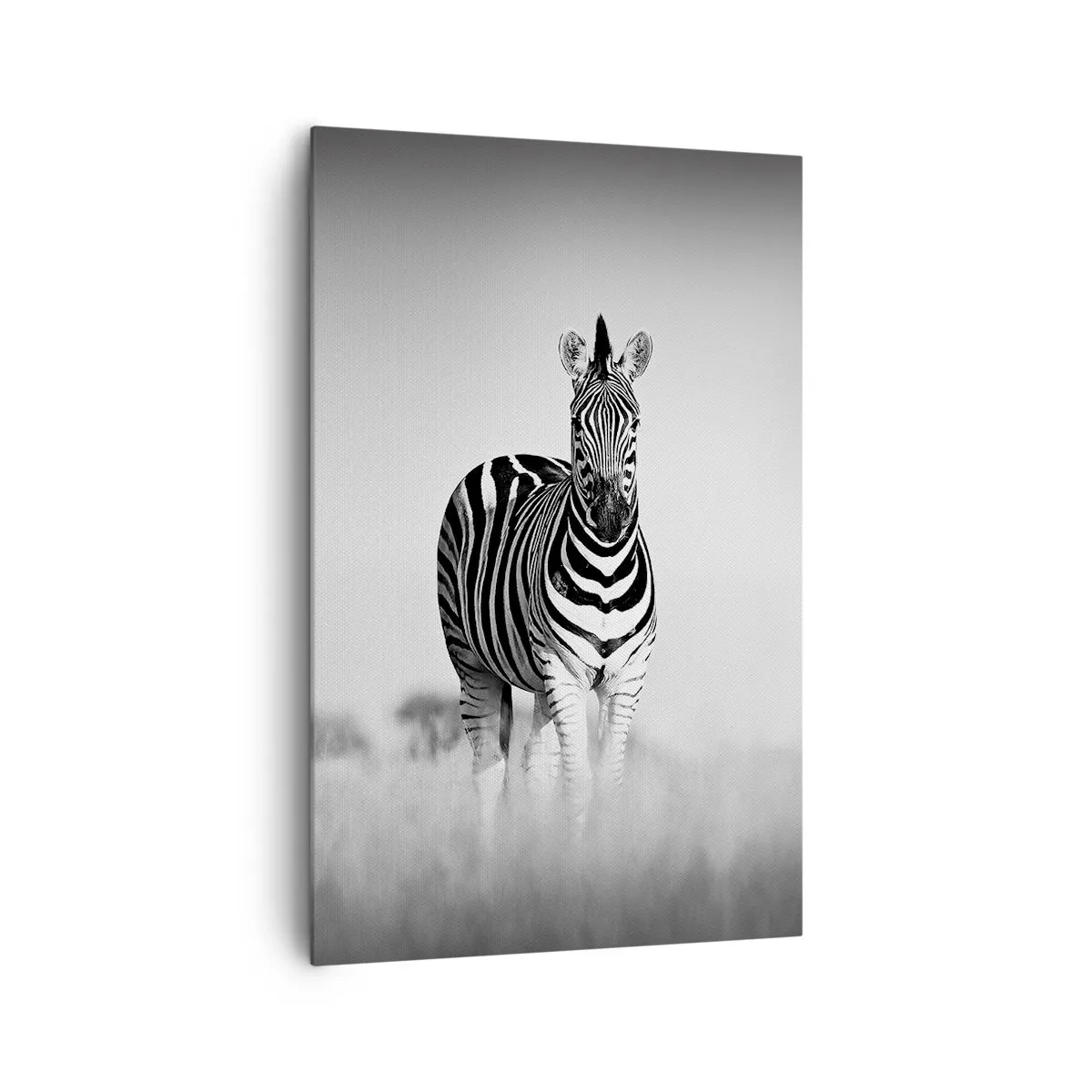 Bild auf Leinwand - Leinwandbild - Zwei Zebras in der Savanne im monochromen Stil - 80x120cm - Die Welt ist doch schwarz-weiß - Moderne Wanddekoration für Wohnzimmer und Schlafzimmer ARTTOR