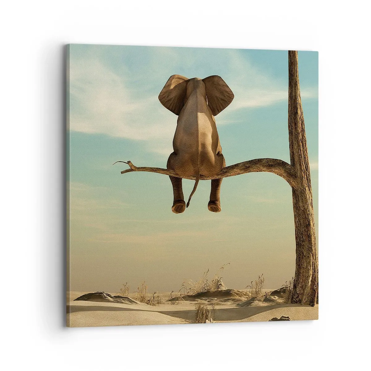 Bild auf Leinwand - Leinwandbild - Neuer Blickwinkel - 70x70 cm