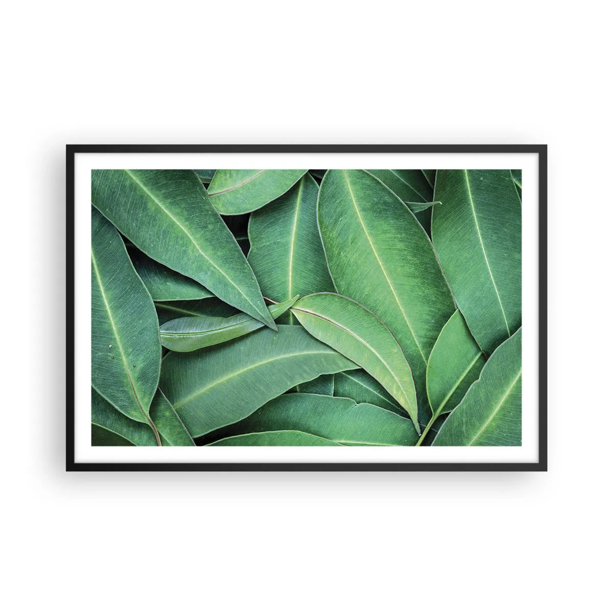 Poster in einem schwarzem Rahmen - Saftig und frisch - 91x61 cm