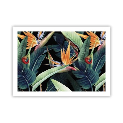 Poster - Flammende Blumen der Tropen - 70x50 cm