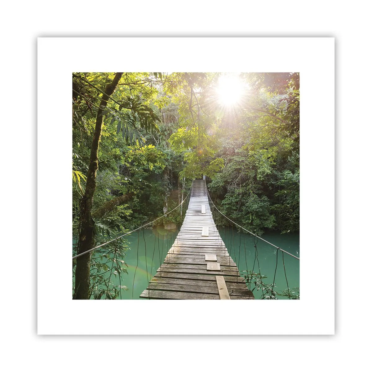 Poster - Über das azurblaue Wasser zum azurblauen Wald - 30x30 cm