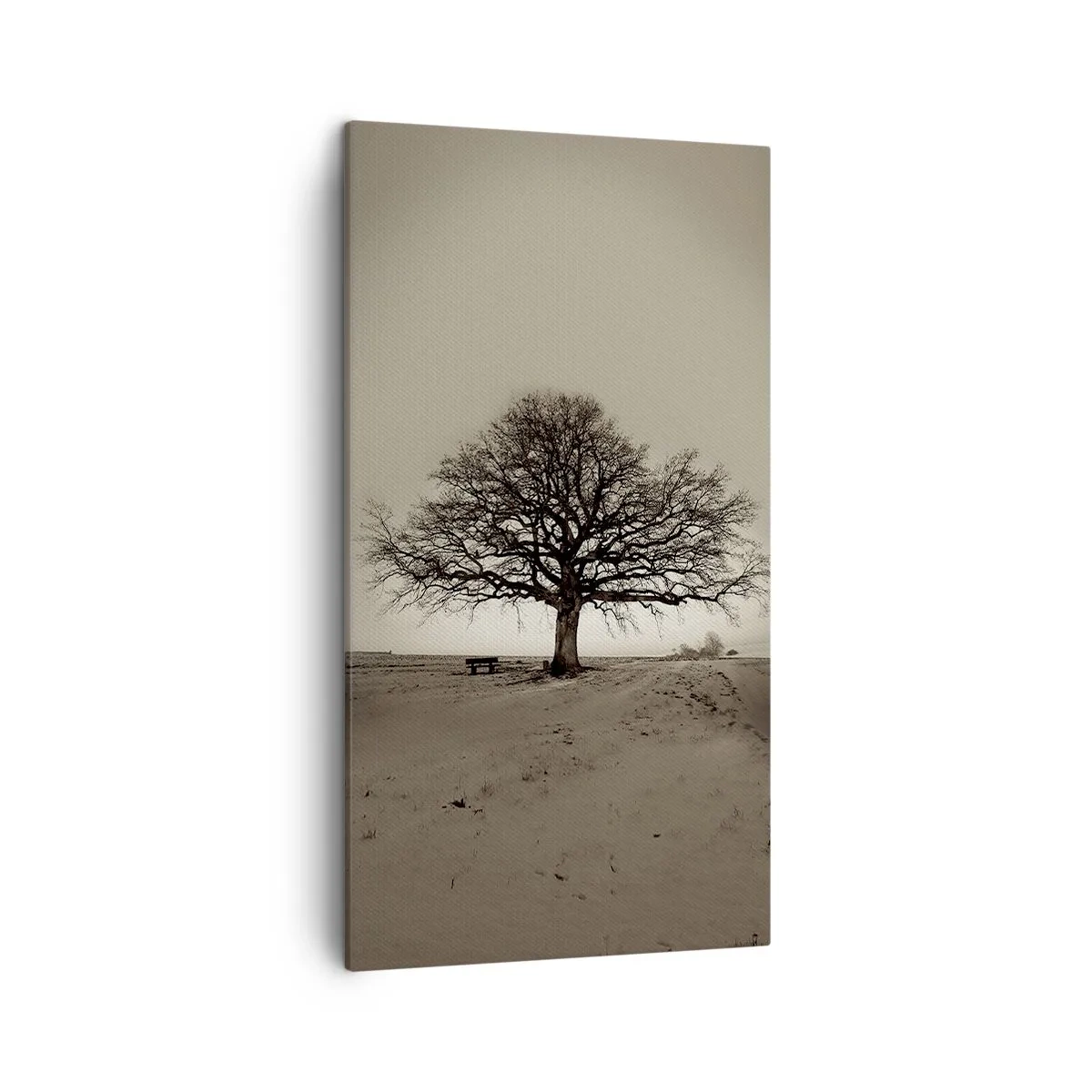 Bild auf Leinwand - Leinwandbild - Von hier zu Ewigkeit - 45x80 cm