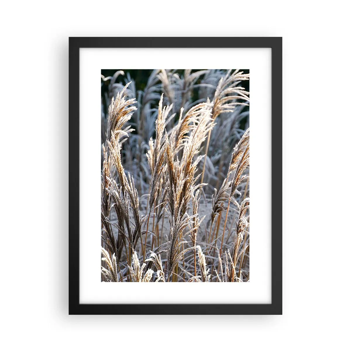 Poster in einem schwarzem Rahmen - Gekleidet mit Frost - 30x40 cm