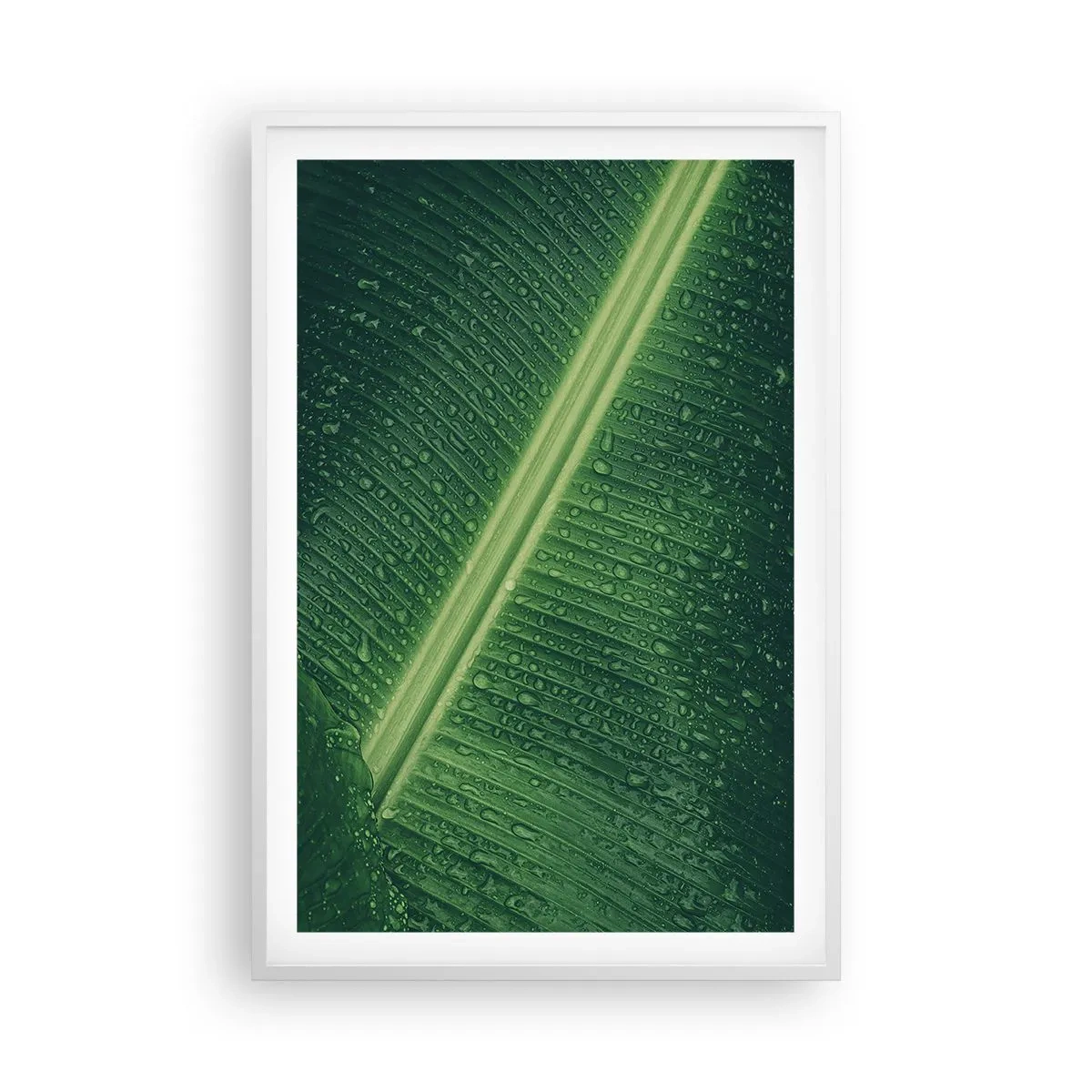 Poster in einem weißen Rahmen - Die Struktur des Grüns - 61x91 cm