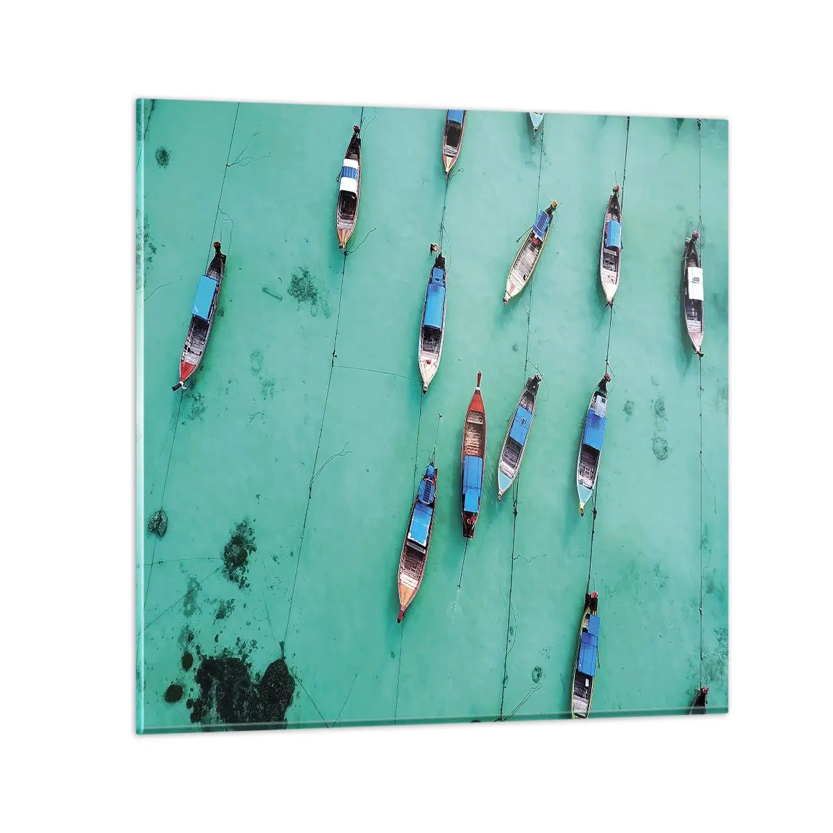 Glasbild - Bild auf glas - In freudiger Erwartung - 60x60 cm