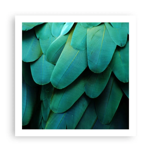 Poster - Papageienartige Präzision - 60x60 cm