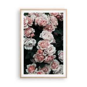 Poster in einem Rahmen aus heller Eiche - Rosen-Ensemble - 61x91 cm