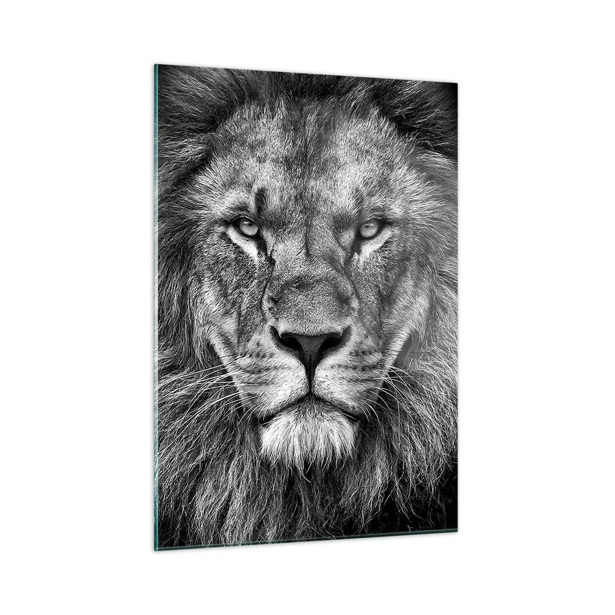 Glasbild - Bild auf glas - Porträt eines Löwen in Schwarz-Weiß mit majestätischer Mähne - 50x70cm - Im Krönungsgewand - Moderne Wanddekoration für Wohnzimmer und Schlafzimmer ARTTOR