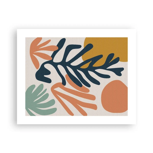 Poster - Korallenmeere - 50x40 cm