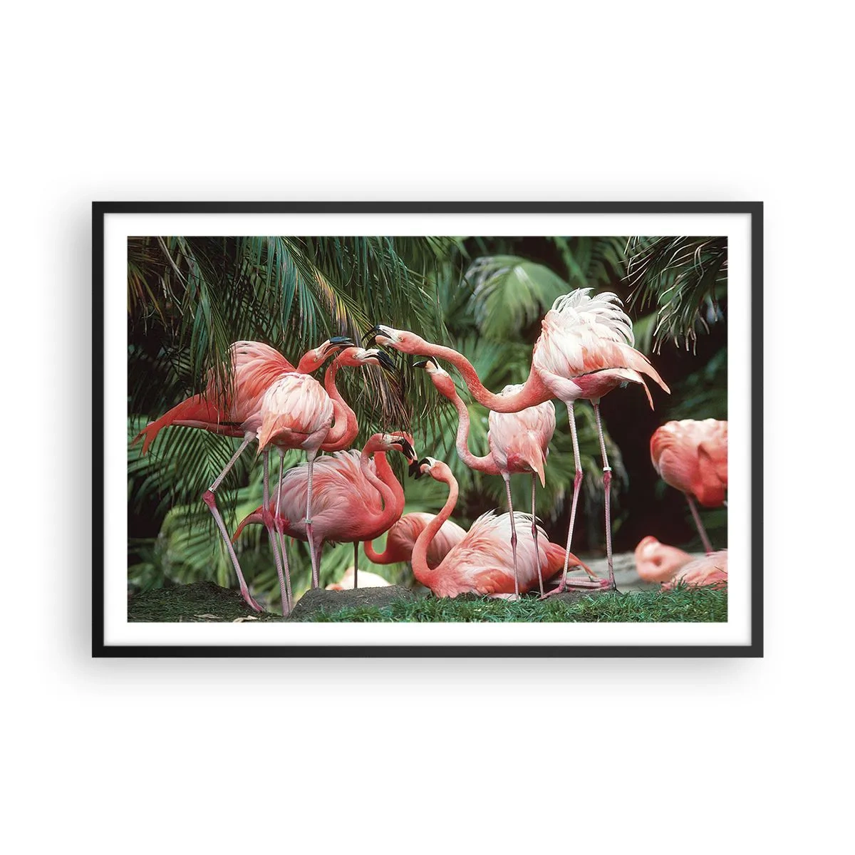 Poster in einem schwarzem Rahmen - Nachmittagsklatsch - 91x61 cm