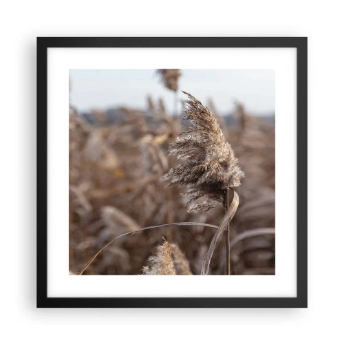 Poster in einem schwarzem Rahmen - Zeit, mit dem Wind zu gehen - 40x40 cm