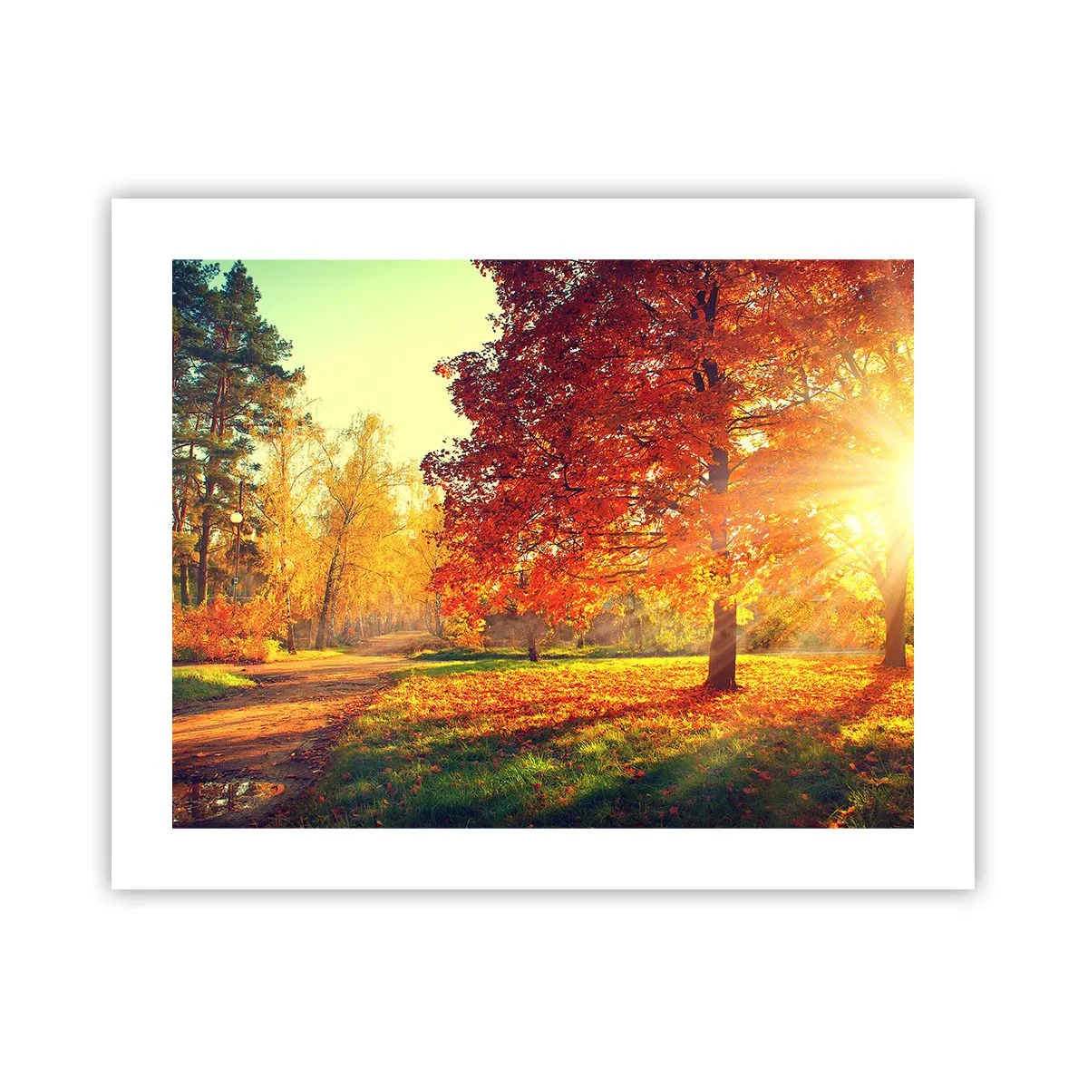 Poster - Unhöflich ist schön - 50x40 cm