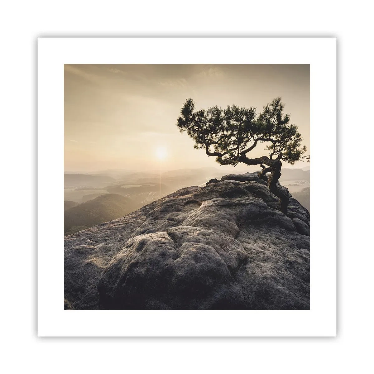 Poster - Das Leben gewinnt immer - 40x40 cm