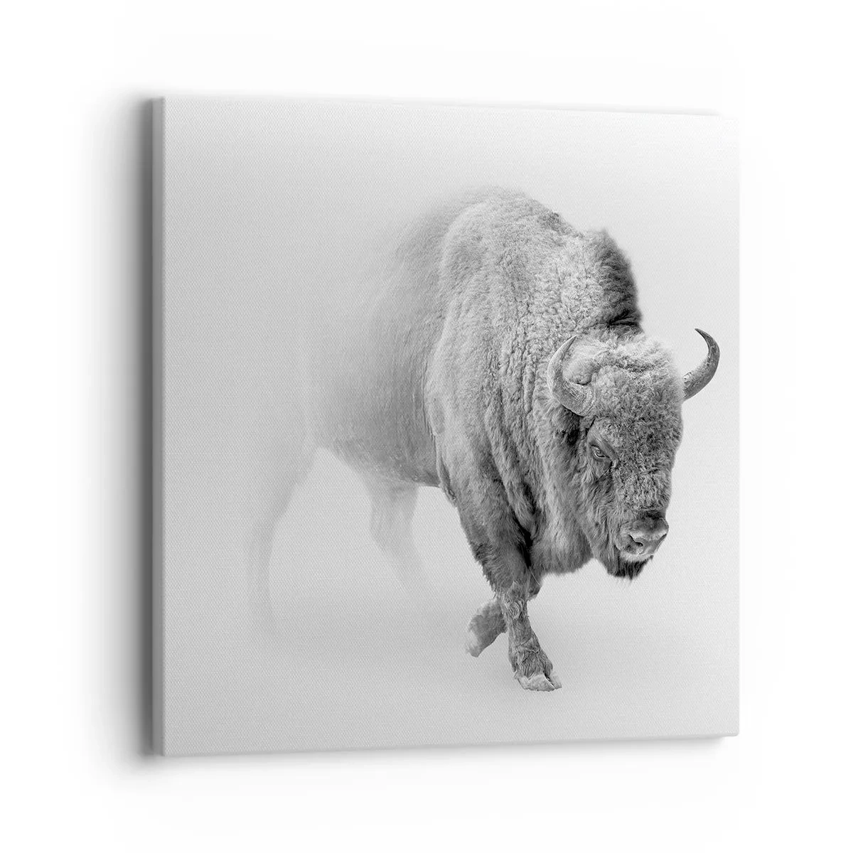 Bild auf Leinwand - Leinwandbild - König der Prärie - 40x40 cm