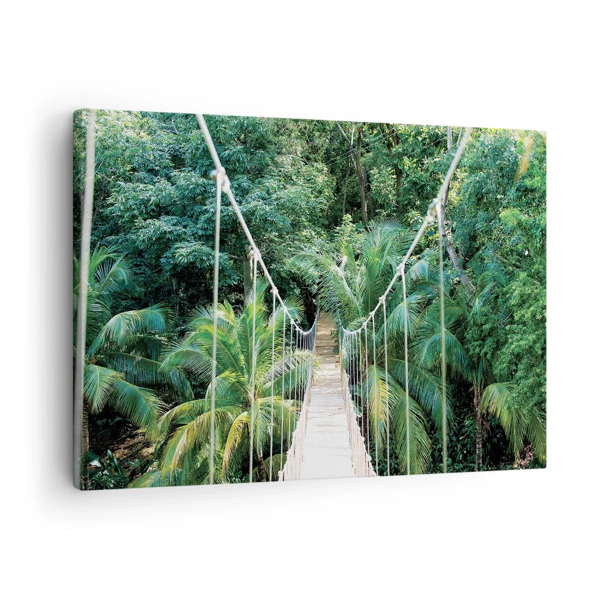 Bild auf Leinwand - Leinwandbild - Eine Hängebrücke in einem tropischen Dschungel voller Grün - 70x50cm - Willkommen im Dschungel! - Moderne Wanddekoration für Wohnzimmer und Schlafzimmer ARTTOR