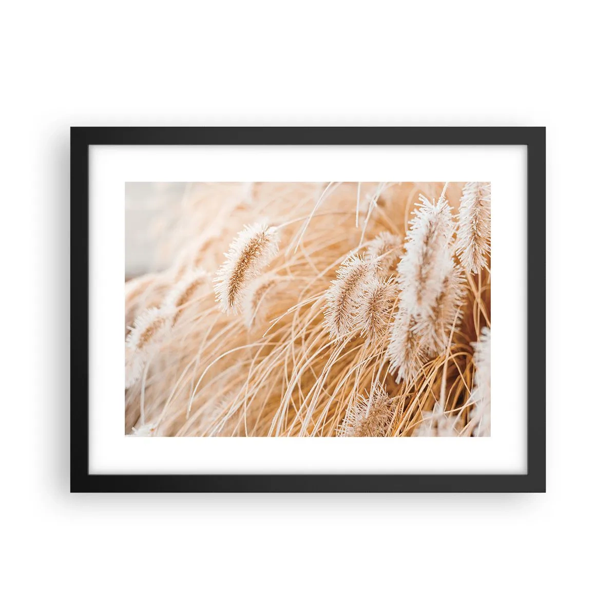 Poster in einem schwarzem Rahmen - Das goldene Rauschen des Grases - 40x30 cm
