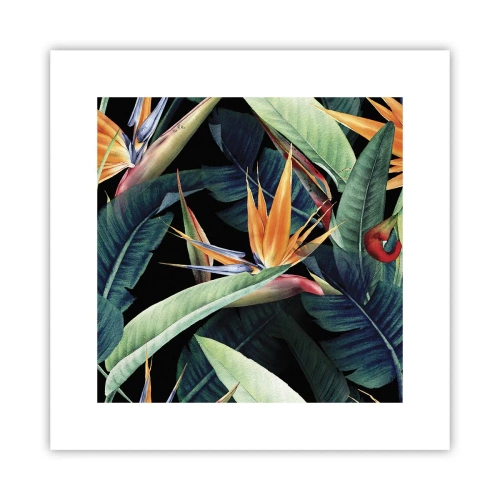 Poster - Flammende Blumen der Tropen - 30x30 cm